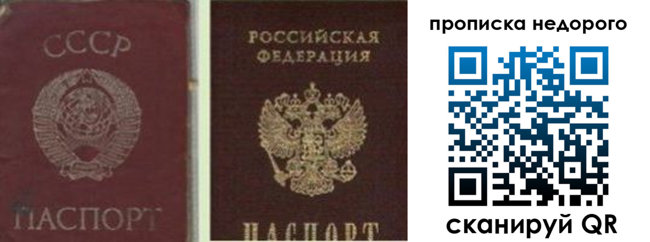 временная регистрация поиск в Биробиджане